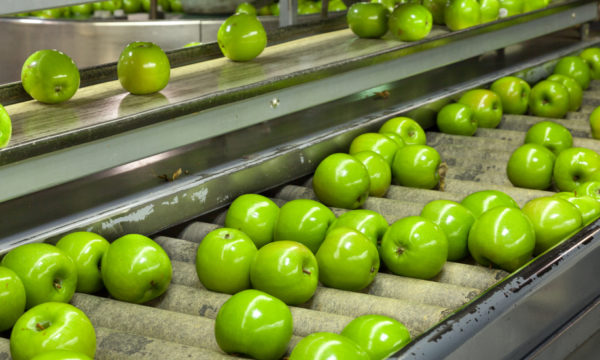 See How Air Bearings Can Improve Food Processing and Packaging!