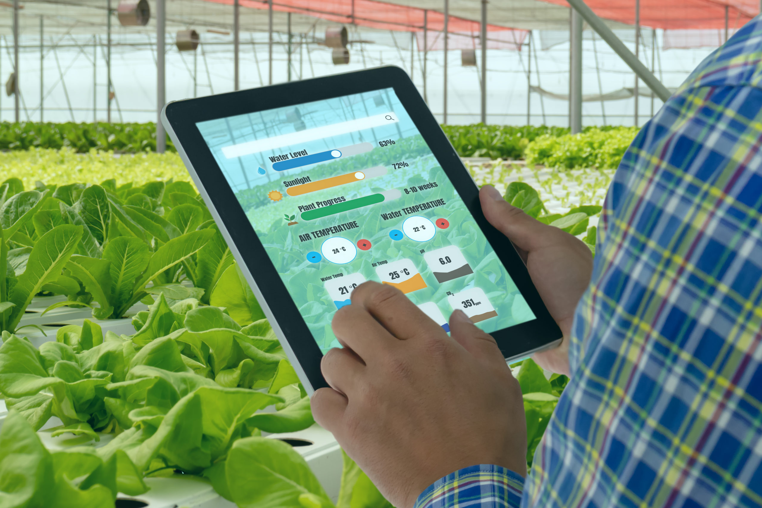 Farmers views pre generated statistics on a tablet while inside a greenhouse